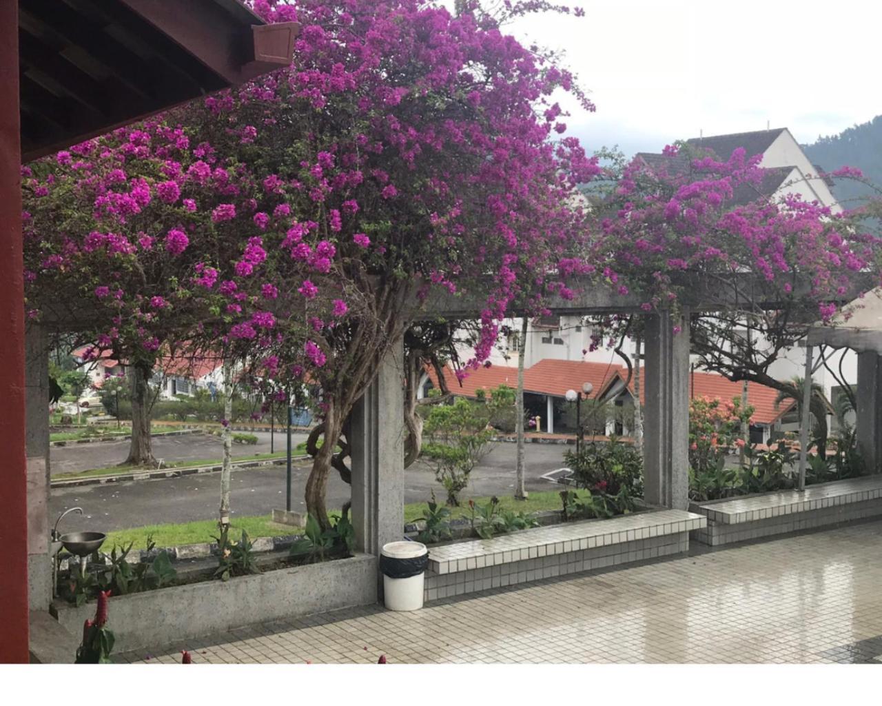 The Gem @ Selesa Hillhomes, Bukit Tinggi, Genting Bentong Exterior foto